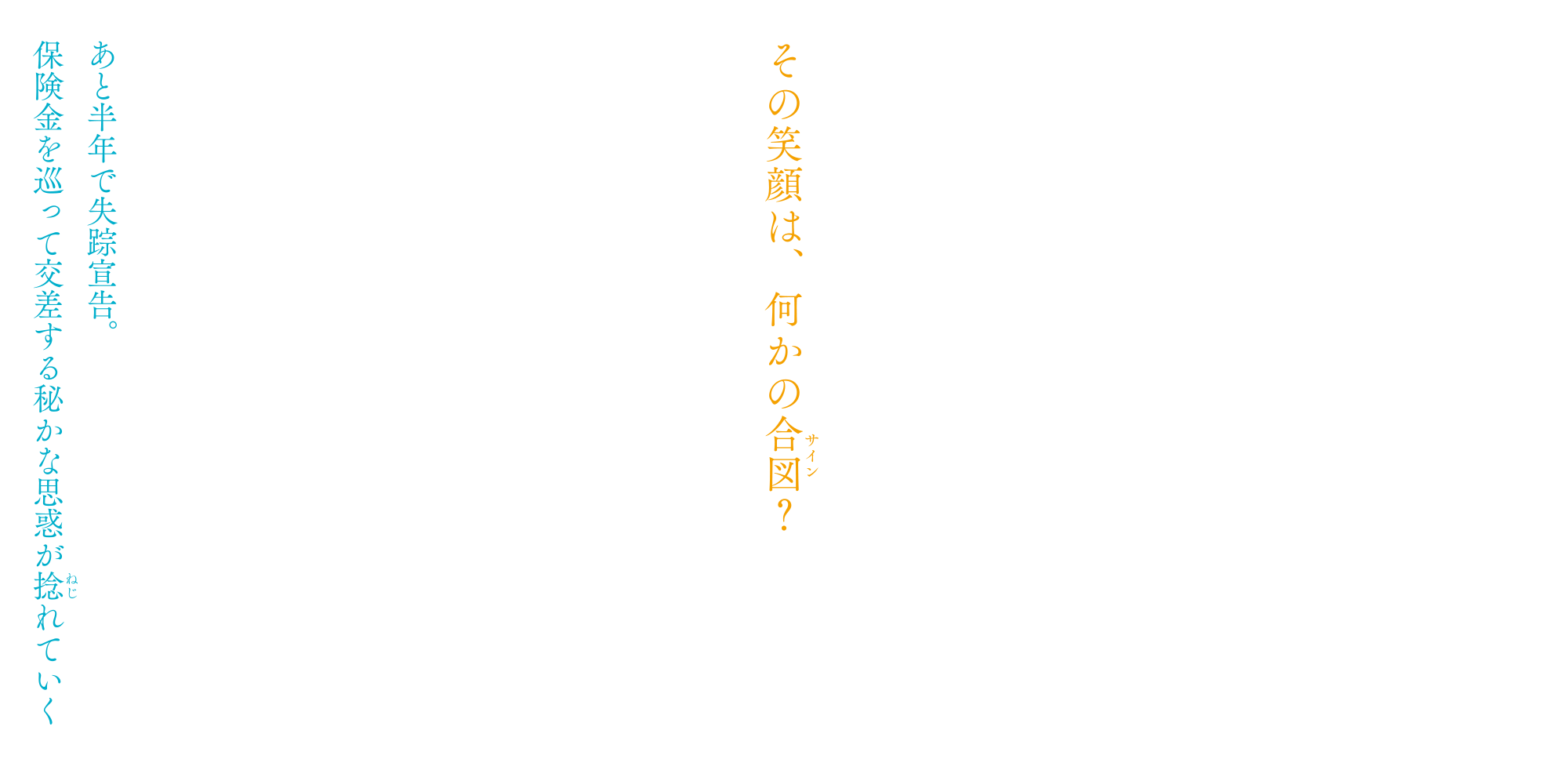 映画『帰ってこなかった男』